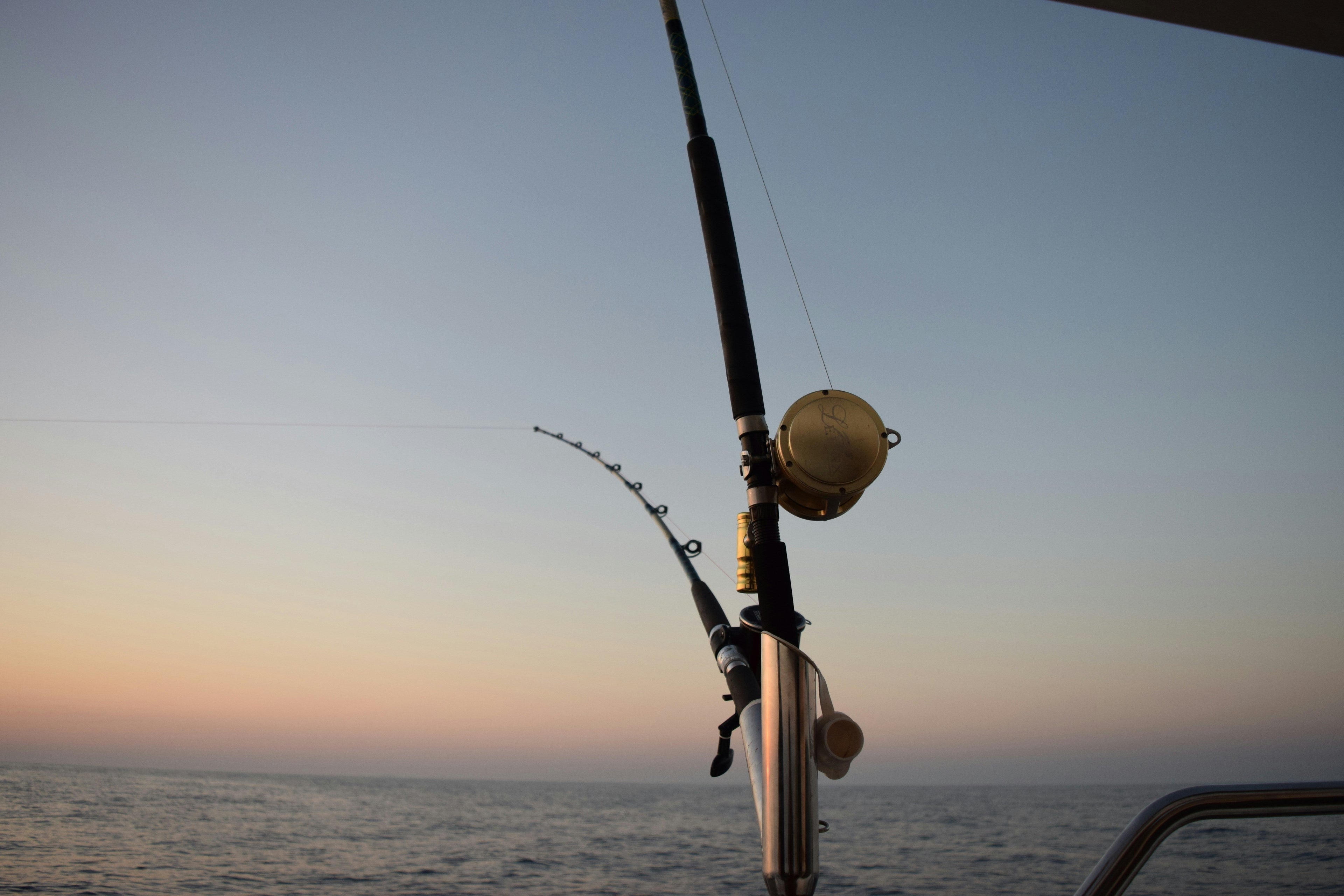 How to Choose the Right Line Strength for Fishing